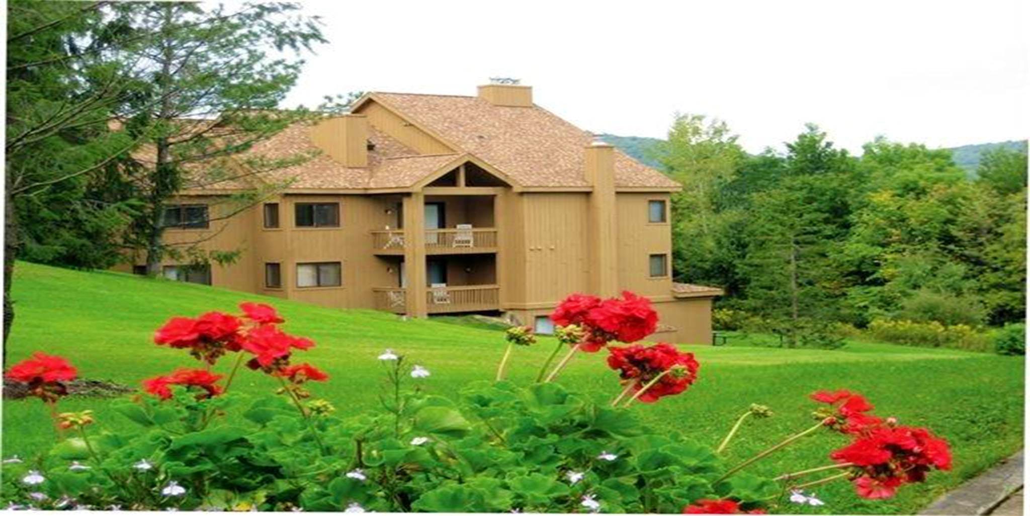 Snowpine Village