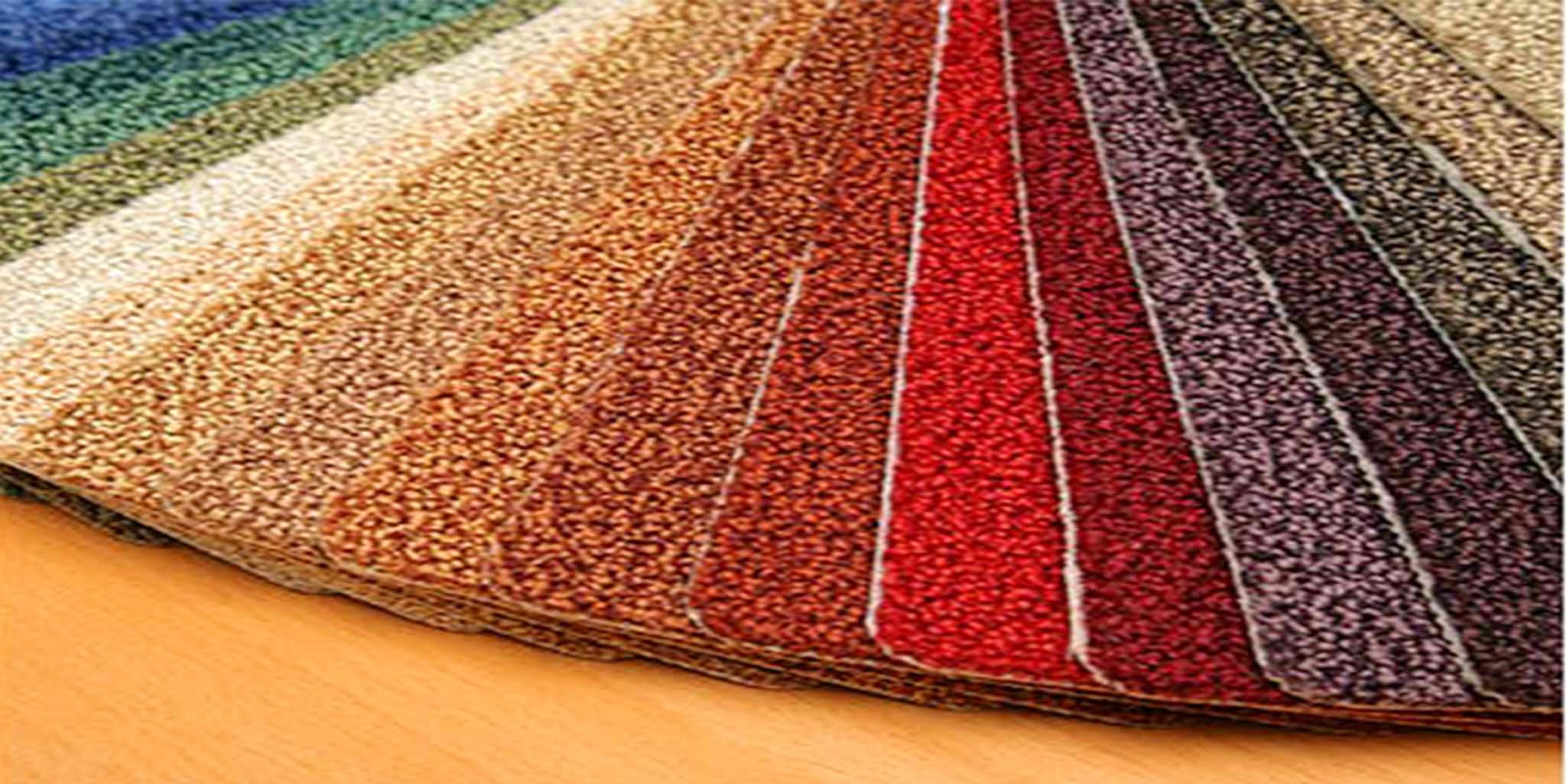 Century Carpet & Bedding