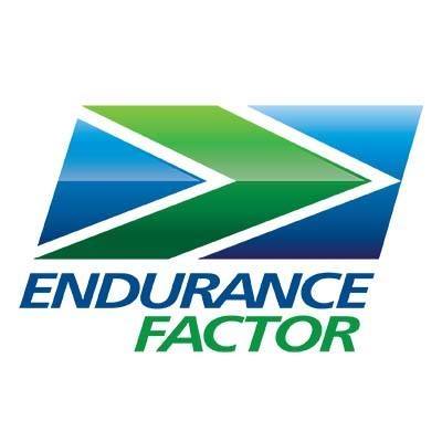 Endurance Factor