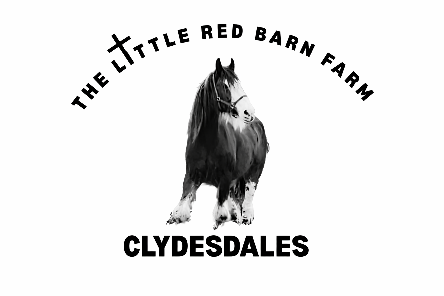 Little Red Barn Farm LLC